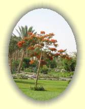 IMG_2007_05_31 11_54_22 * 1704 x 2272 * (571KB)